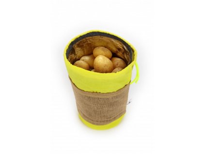 474f7fc41686ceda0df7aa4c2ac95511 img 6087