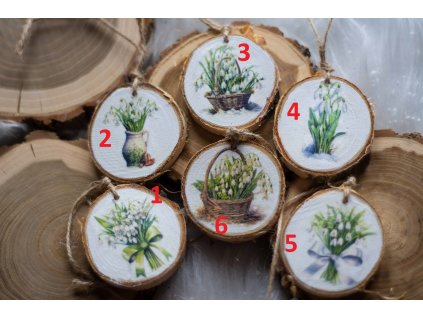 jarní kulatinka sněženky