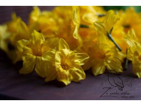 narcis
