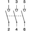 IS 3P