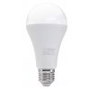 led bulb1