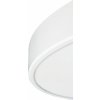 Dekorativní svítidlo LED TAURUS-R White 24W NW 2300/2900lm