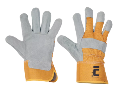 eider1