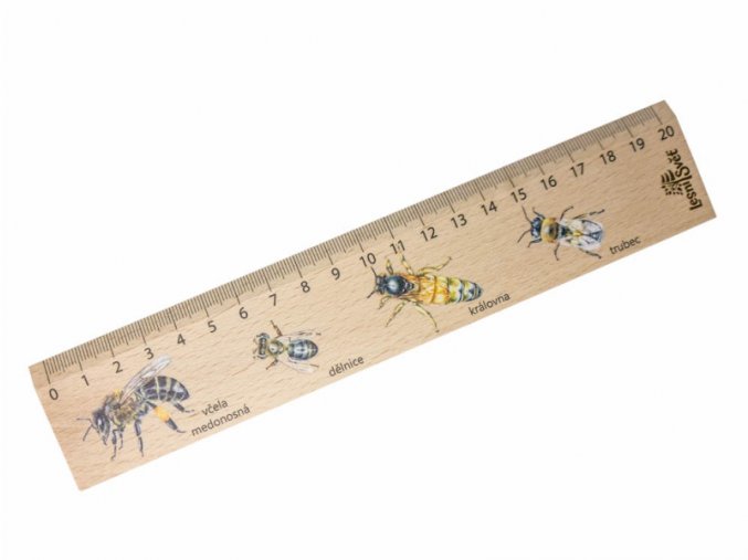 Dřevěné pravítko 20 cm včela medonosná
