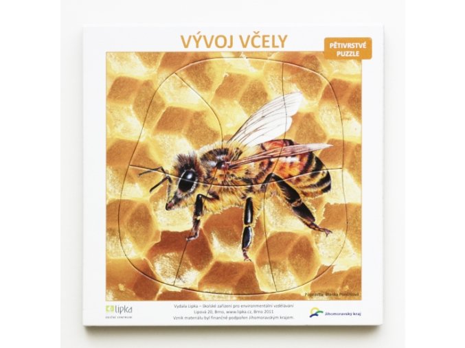 Pětivrstvé výukové puzzle Vývoj včely