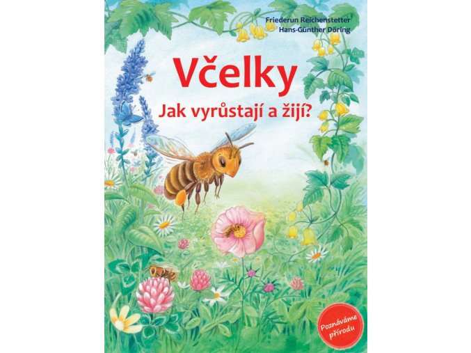 Včelky - jak vyrůstají a žijí