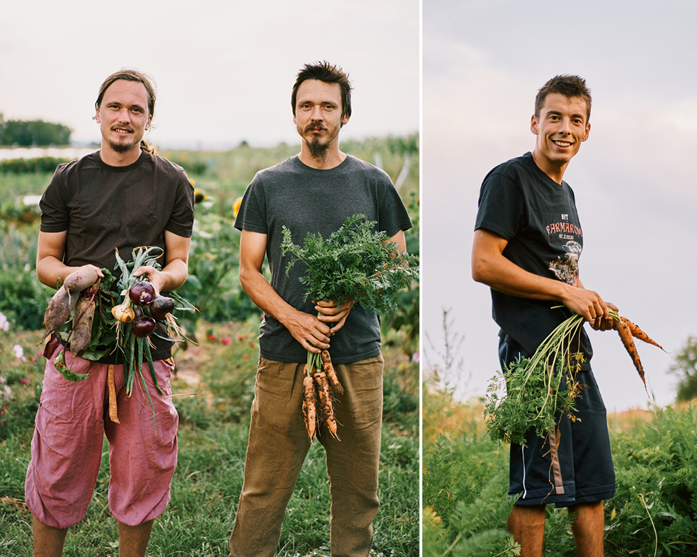 Chladné počasie spomalilo začiatok zeleninovej sezóny. Naši farmári vysvetľujú, čo to znamená