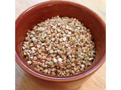 105 pohanka kroupa bio image