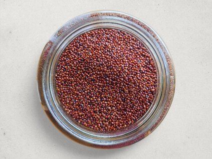 111 quinoa bio image