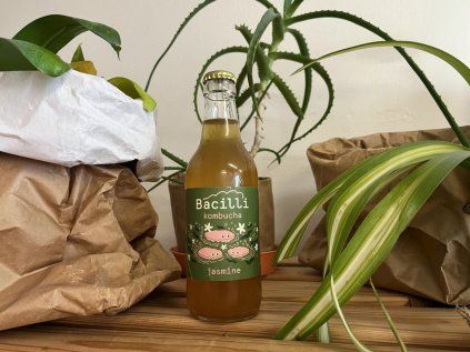 445 bacilli kombucha jasmin optimistic image