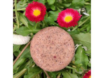 6811 ponio tuhy sampon mint 30g image