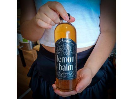 8703 kombucha lemon balm image