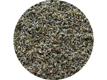 8796 levandule kvet image