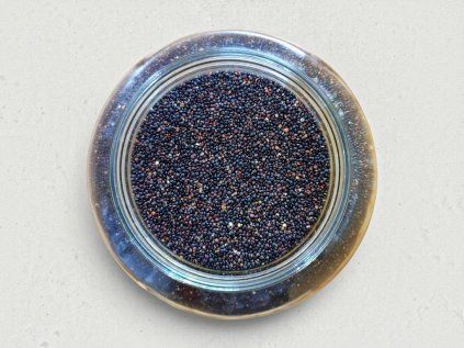8954 quinoa cerna image