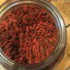 148 goji kustovnice bio image
