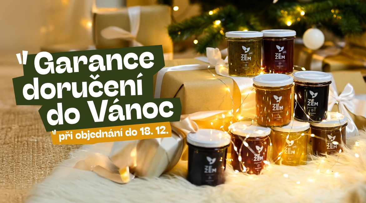 Garance doručení do Vánoc