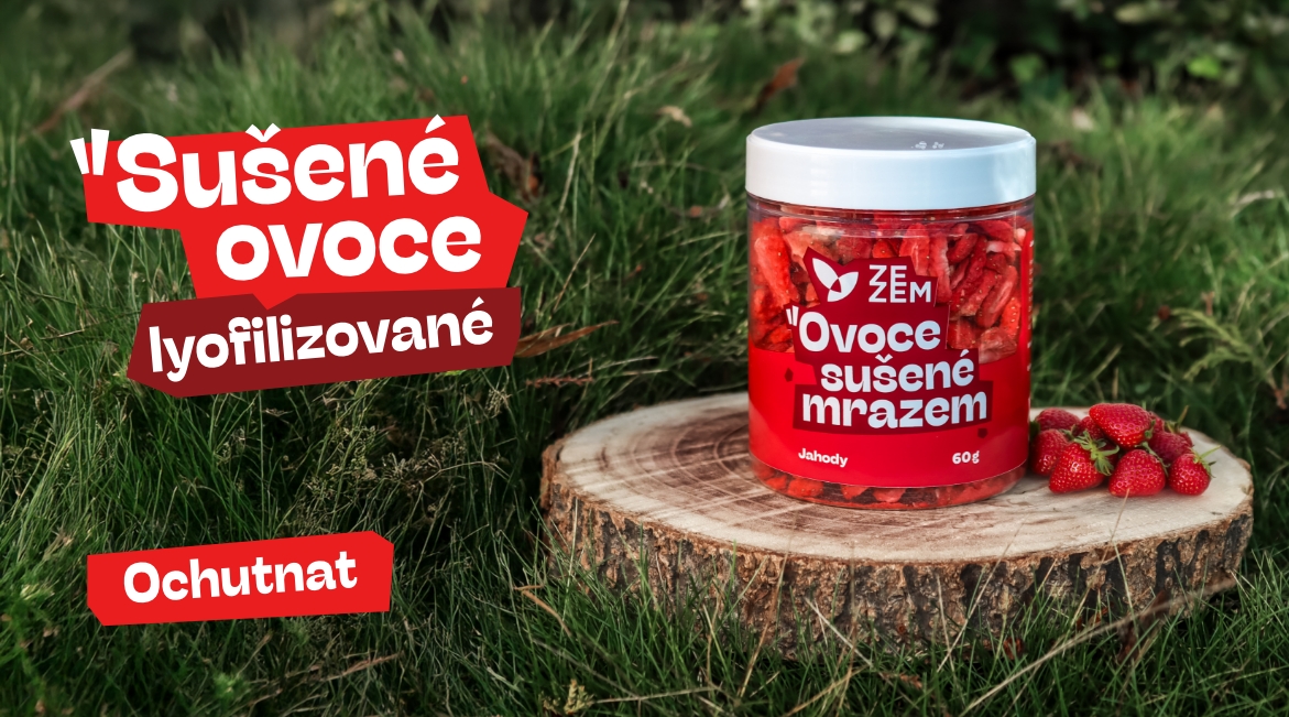 Lyo ovoce