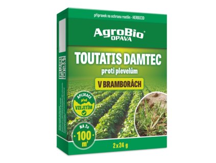 toutatis