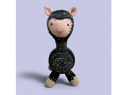 77bd00fb36994378b9ff42b3c7accf32