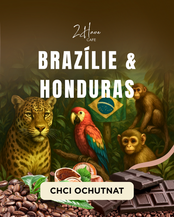 Brazílie