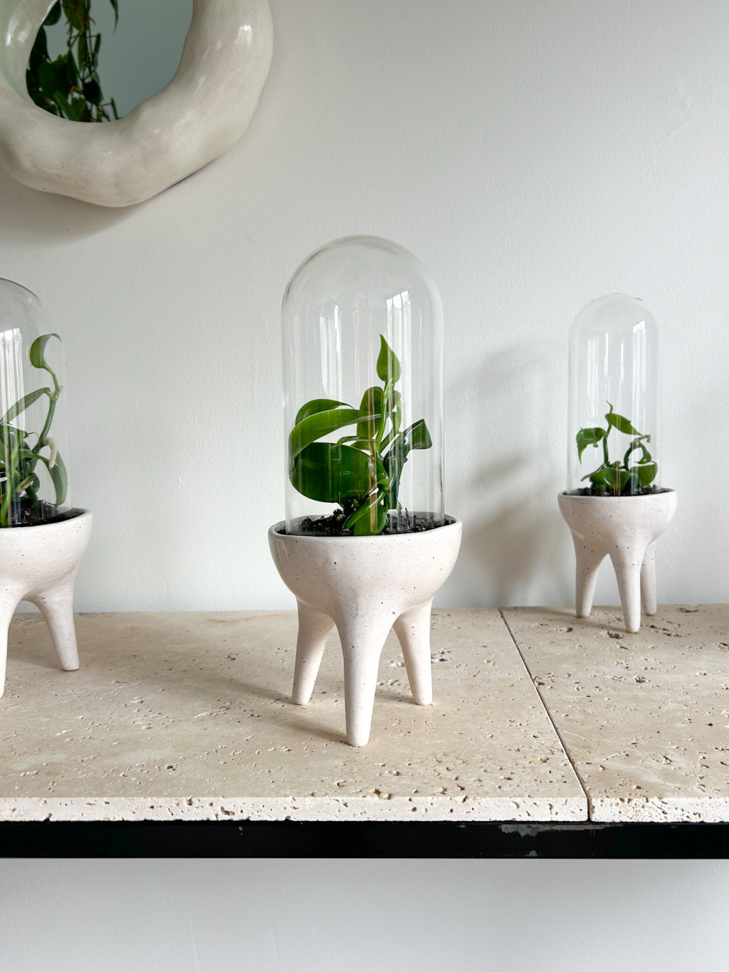 1D2D0C59 331F 4503 B5D5 5D553C7E0F4A