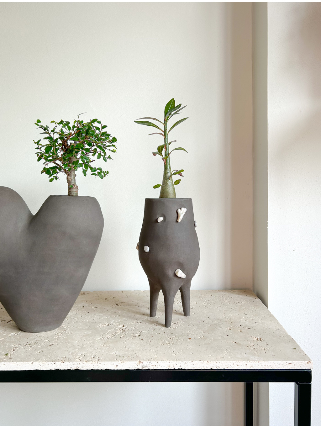 5A339C93 F3C3 47EF AF74 A0FB81603CEE