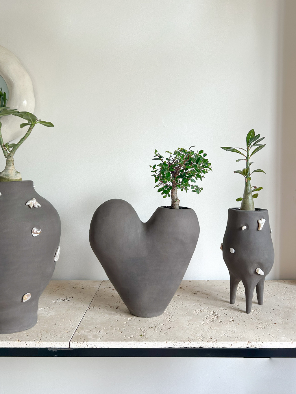 B43A4F93 F36A 44D8 8F78 98491E3AAC0B(1)