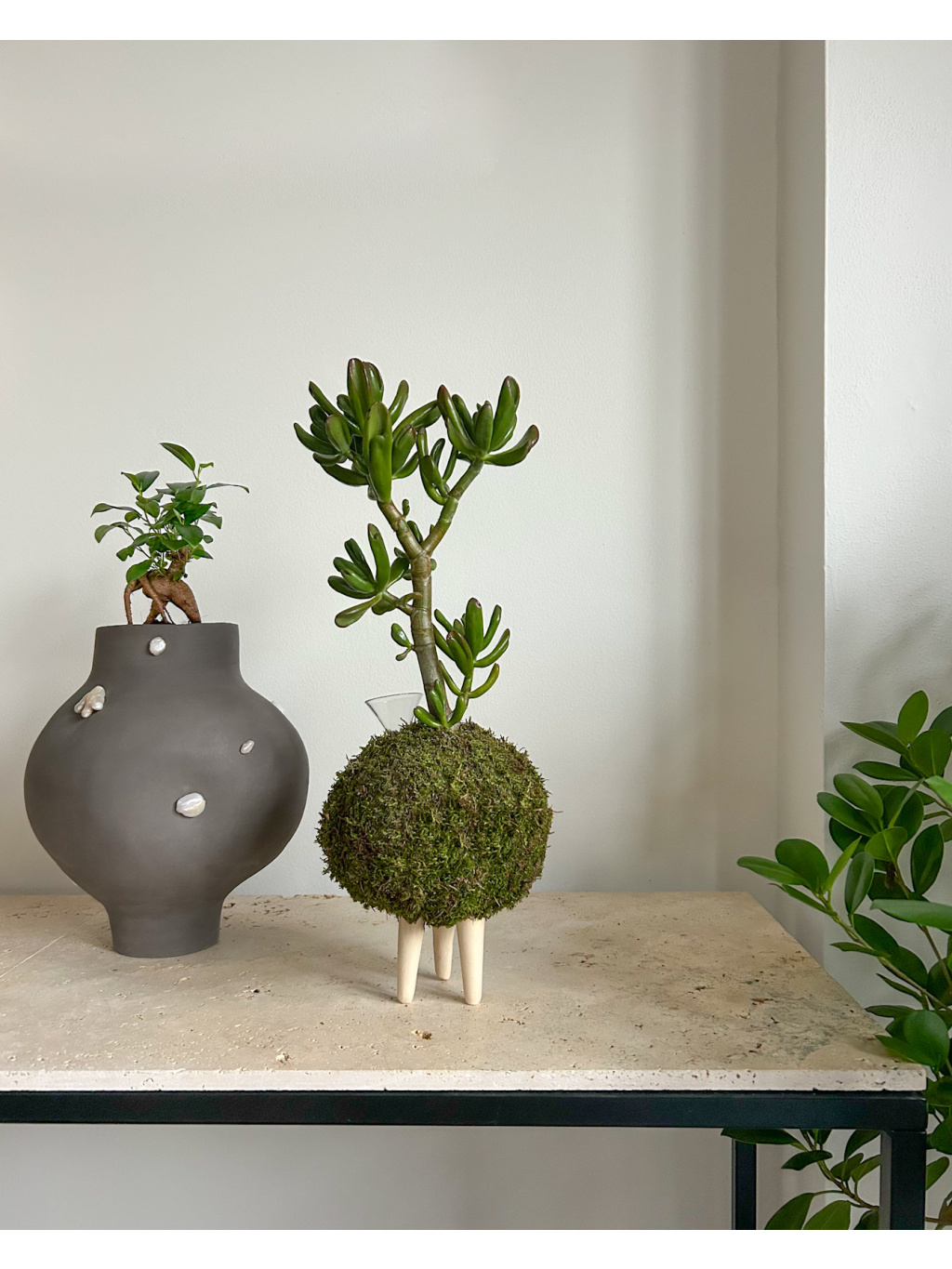 9D8EA59A 9410 4F99 AF61 21F095E96E9A