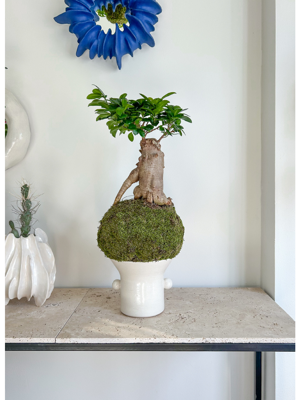 EDDB7C94 AA7C 4593 8144 C66DC2C7B12F