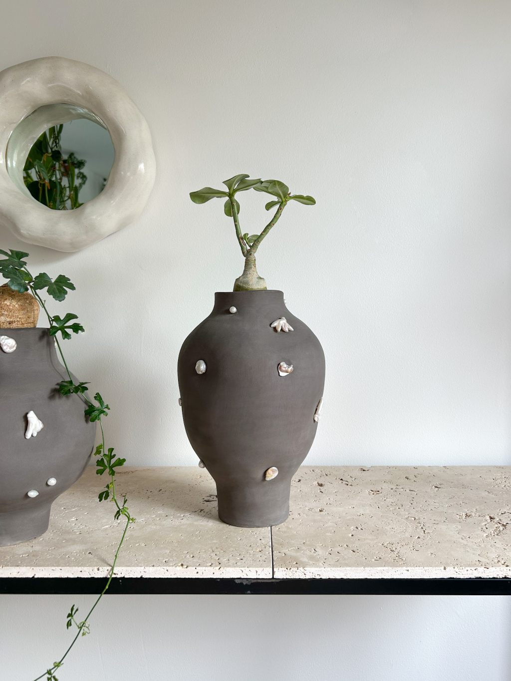 2A7BD2A1 4AB9 47F8 B226 2A0063FFD390