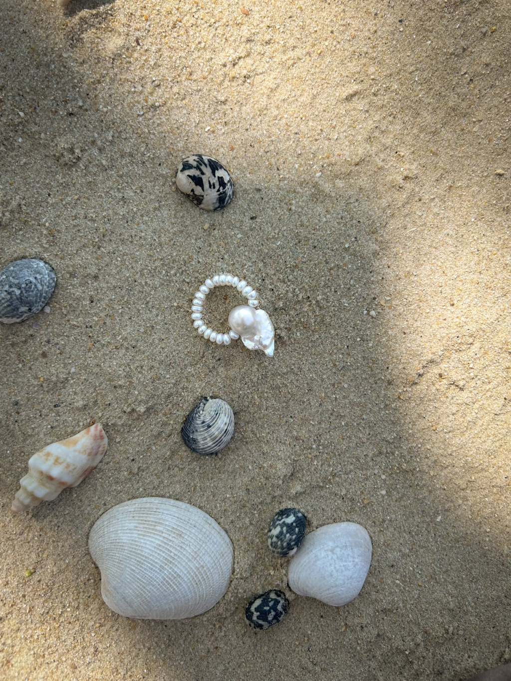 1C07156B E28A 415E BA7D 9DD5F4BB6D24