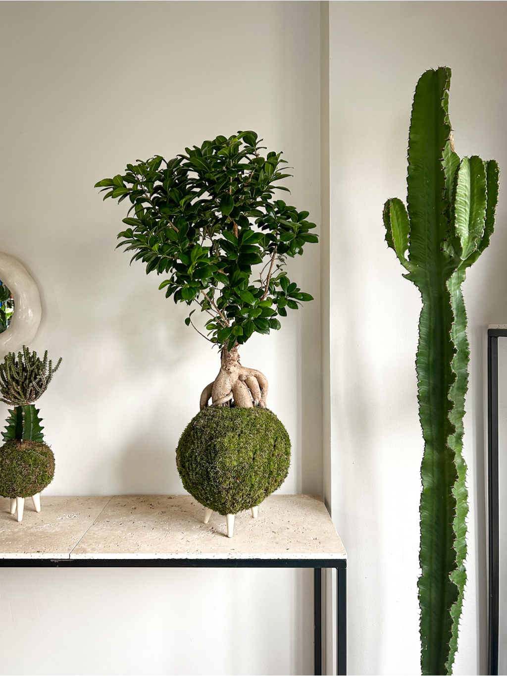 B86845D2 B88F 48C1 9FB4 5E0E4EDBE136