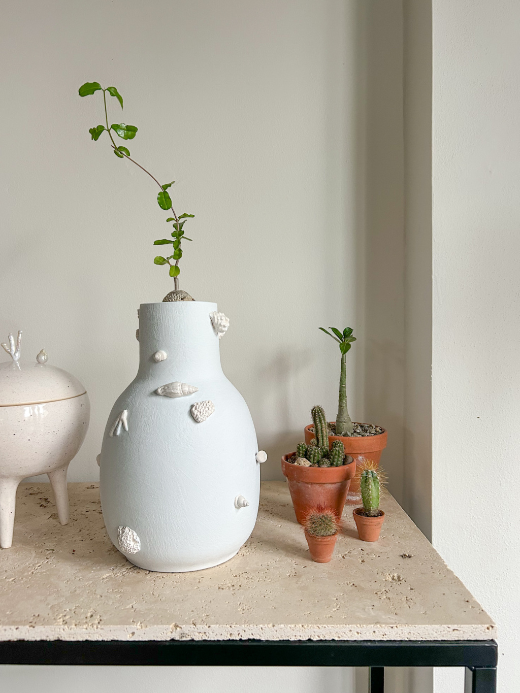 A2EFB677 D90D 4994 8AA5 CD908578124D