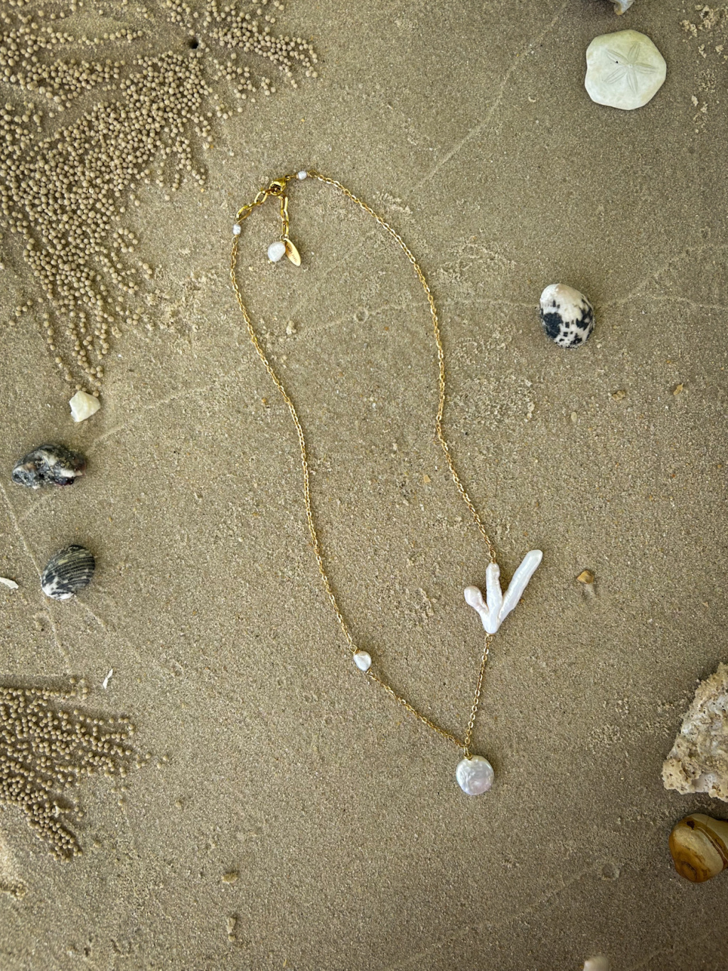 1F036D15 AC6D 4465 AAA9 FF8E55507E6C