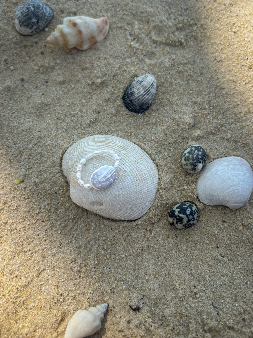 2348C3E7 63C7 4219 8DD3 E829F236A17C