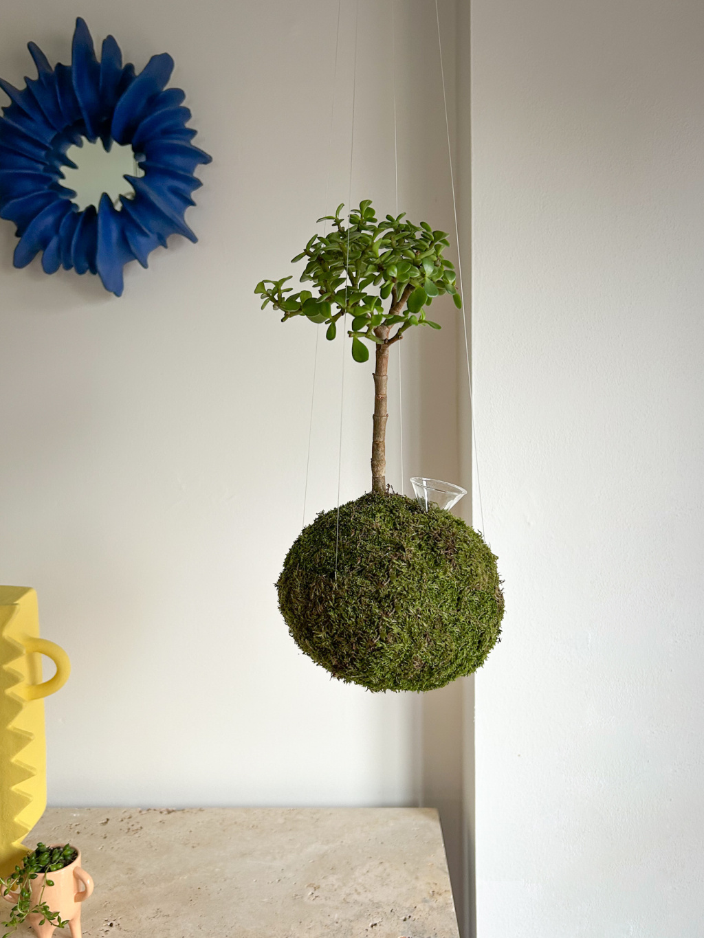 BDBEF35F 04FD 4E24 ACD7 DBE8E171E5BD