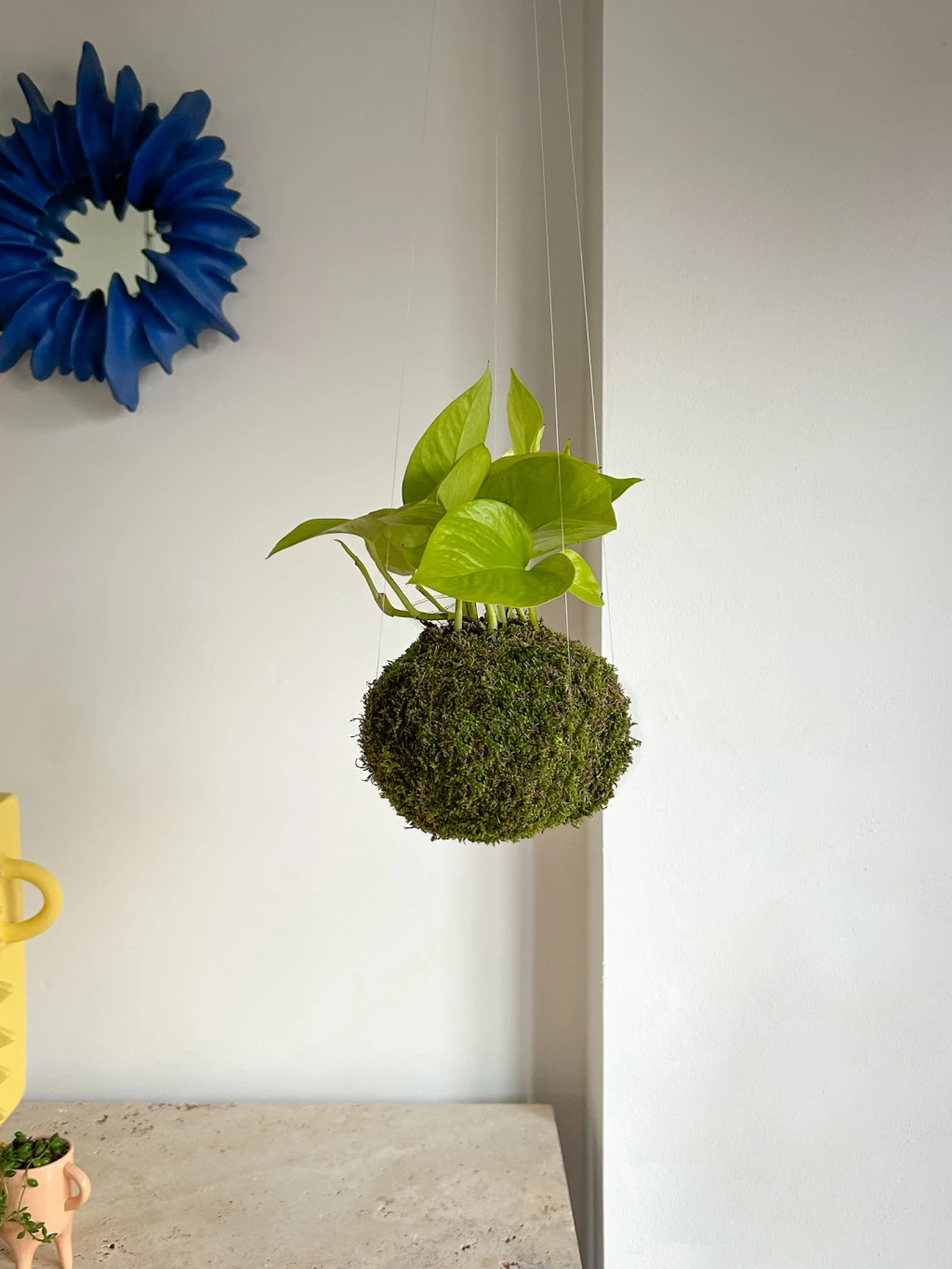 58B74638 96A9 405D 91F9 3FD4EB12E0D9