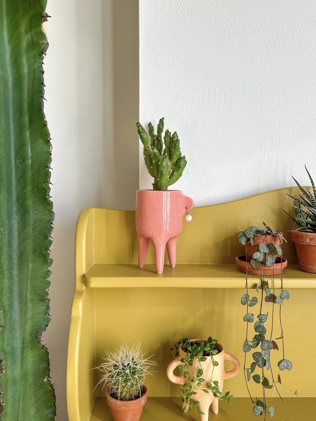 0C6452F3 AD0A 408A B43F 5002CCDFFBF4