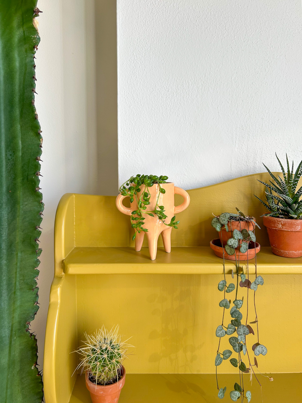 C952DB73 8364 4211 B7B9 EEBF6CAE871A