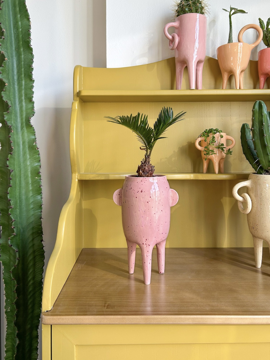 CD45D88D 40C9 491E 9979 3250E8EACF6D