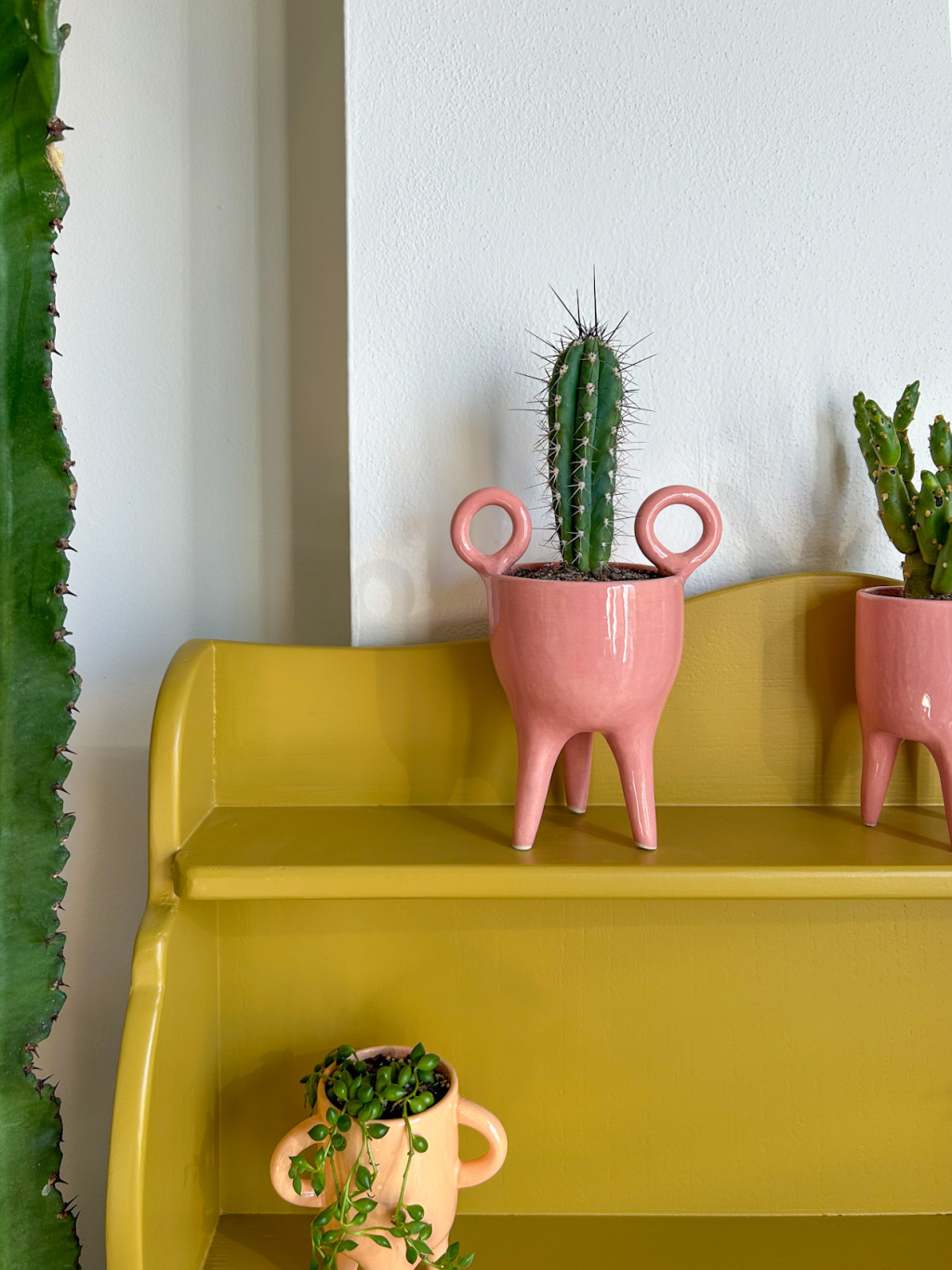 CCA5D922 E3E0 477E 82B4 A909EFA982A9