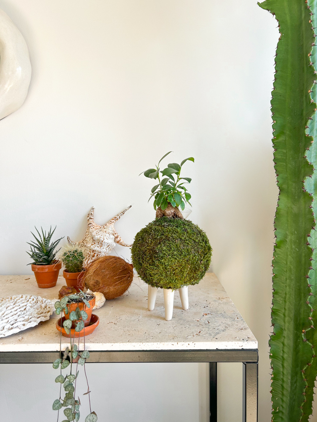 722D445A BADB 4746 913D 62A9A8DAEF25