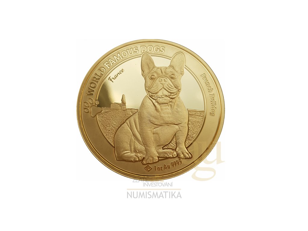 Investiční zlatá mince Světové psí rasy 1 Oz-Buldok