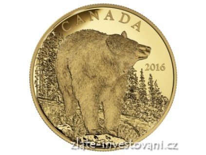 4670 zlata mince medved cerny kanada 2016 proof