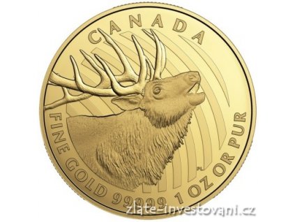 5201 investicni zlata mince jelen 2017 serie wild life kanada 1 oz