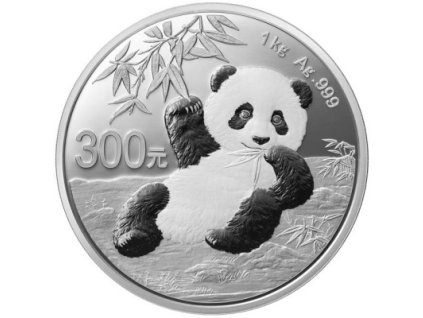 Stříbrná mince Panda 2020 1000g proof