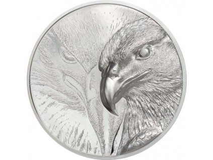 Stříbrná moderní mince Majestic Eagle 1/10 Oz proof 2020