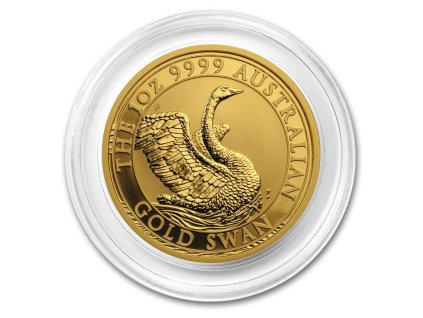 swan1