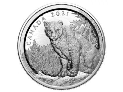 Stříbrná moderní mince Vícevrstevná Puma 2021 proof