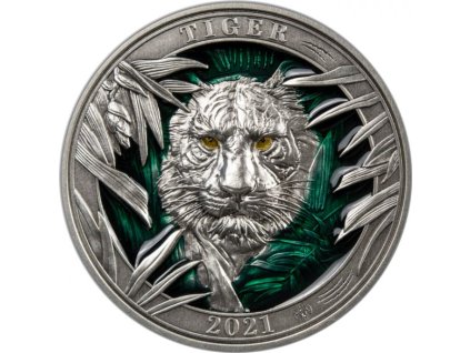 tygr3oz 1